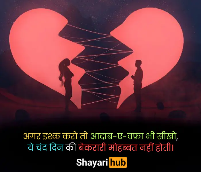 love shayari hindi 