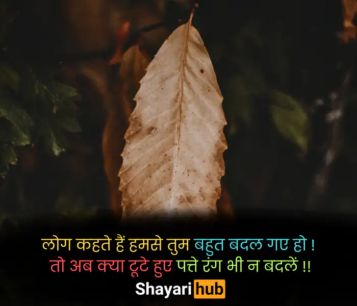 sad shayari 